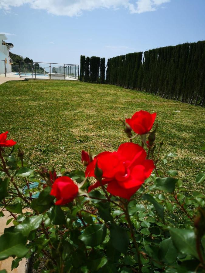 Apartamento Dana I Eurogolf, Vistas, Wifi, Piscina Y Parking Benalmádena Exterior foto